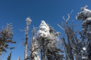 Snow Follies-14