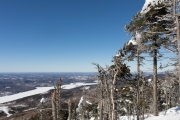 Snow Follies-15