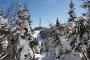 Snow Follies-17