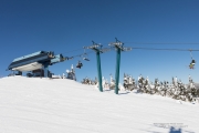 Snow Follies-9