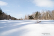 Snowshoeing