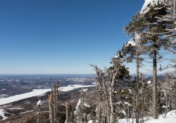 Snow Follies-15