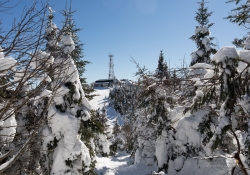 Snow Follies-17