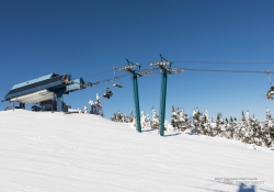 Snow Follies-9