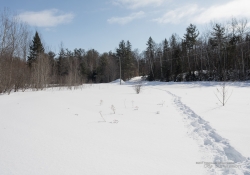 Snowshoeing-2