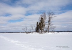 Snowshoeing-4