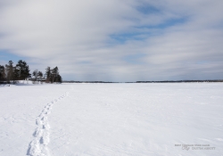 Snowshoeing-8