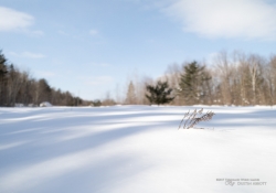 Snowshoeing