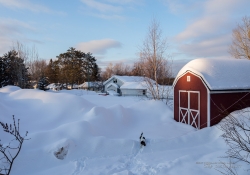 Winter in Canada-3