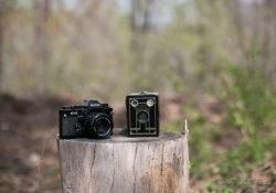 Canon Aperture Comparison-3