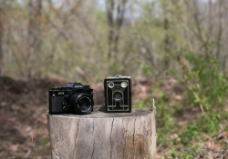 Canon Aperture Comparison-5