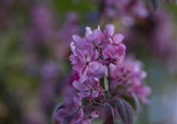 Real World Bokeh-10