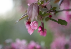 Real World Bokeh-13