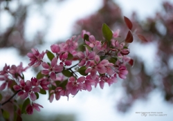 Real World Bokeh-15