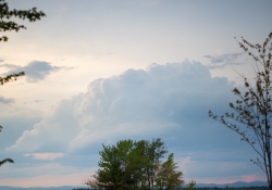 Wide Open Landscape