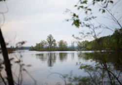 Wide Open Landscape2