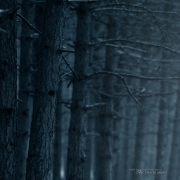 Landscape Plus Crop-2