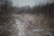 Path Plus Crop