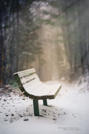 Hello, Winter 2014