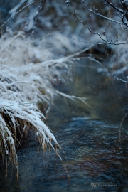 Samples-21