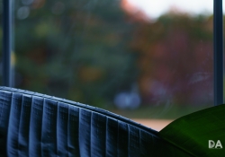 Milvus MP50 Samples round 1-12