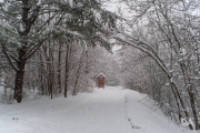 Winters Vengeance-14