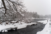 Winters Vengeance-2