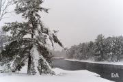 Winters Vengeance-6