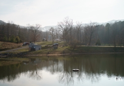 Detailed Landscape-3