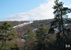 Detailed Landscape