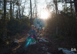 Sunburst and Flare-2