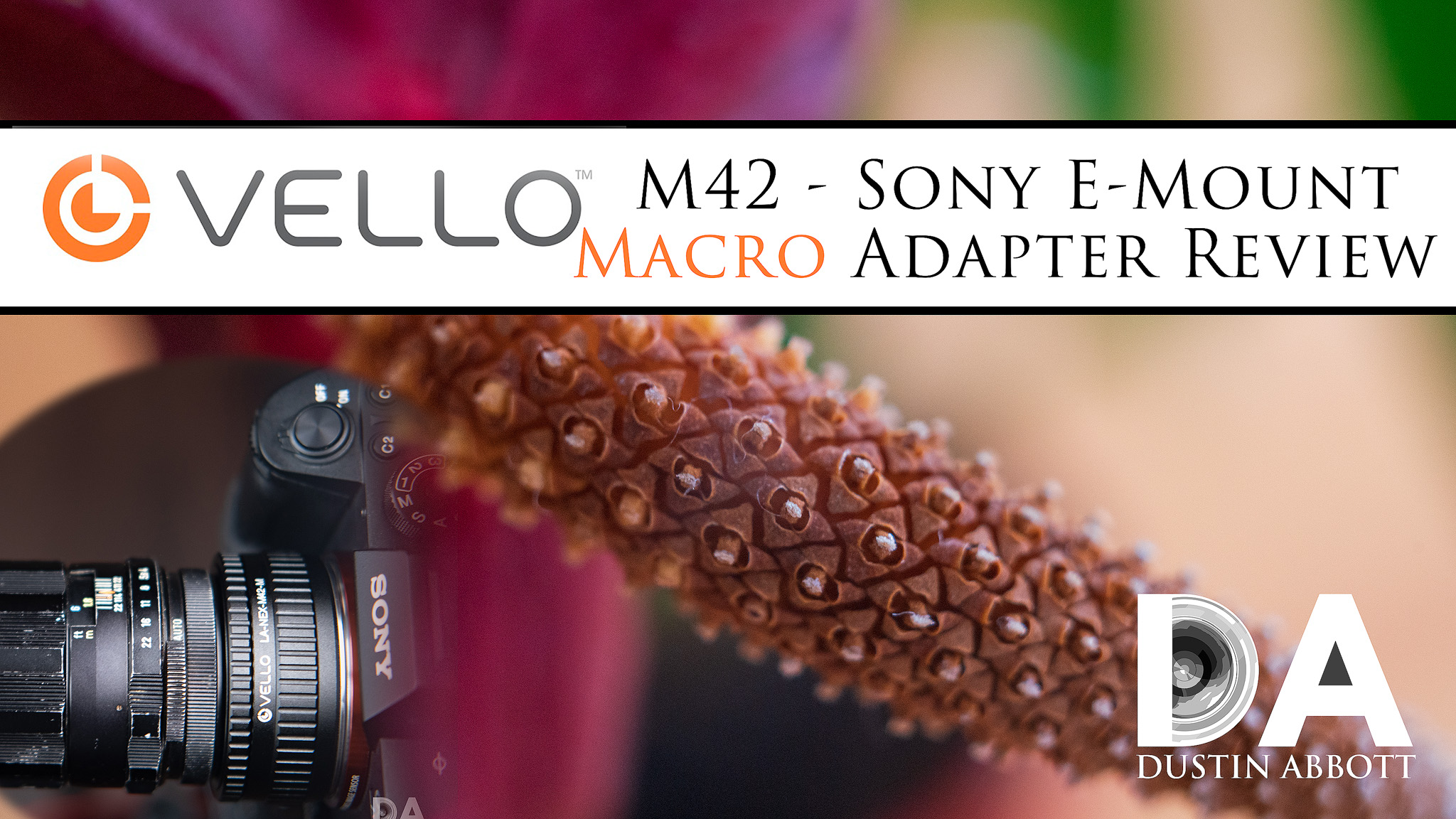 Onderscheiden eerste Wiskundig Vello M42 to Sony E-mount Macro Adapter Review - DustinAbbott.net