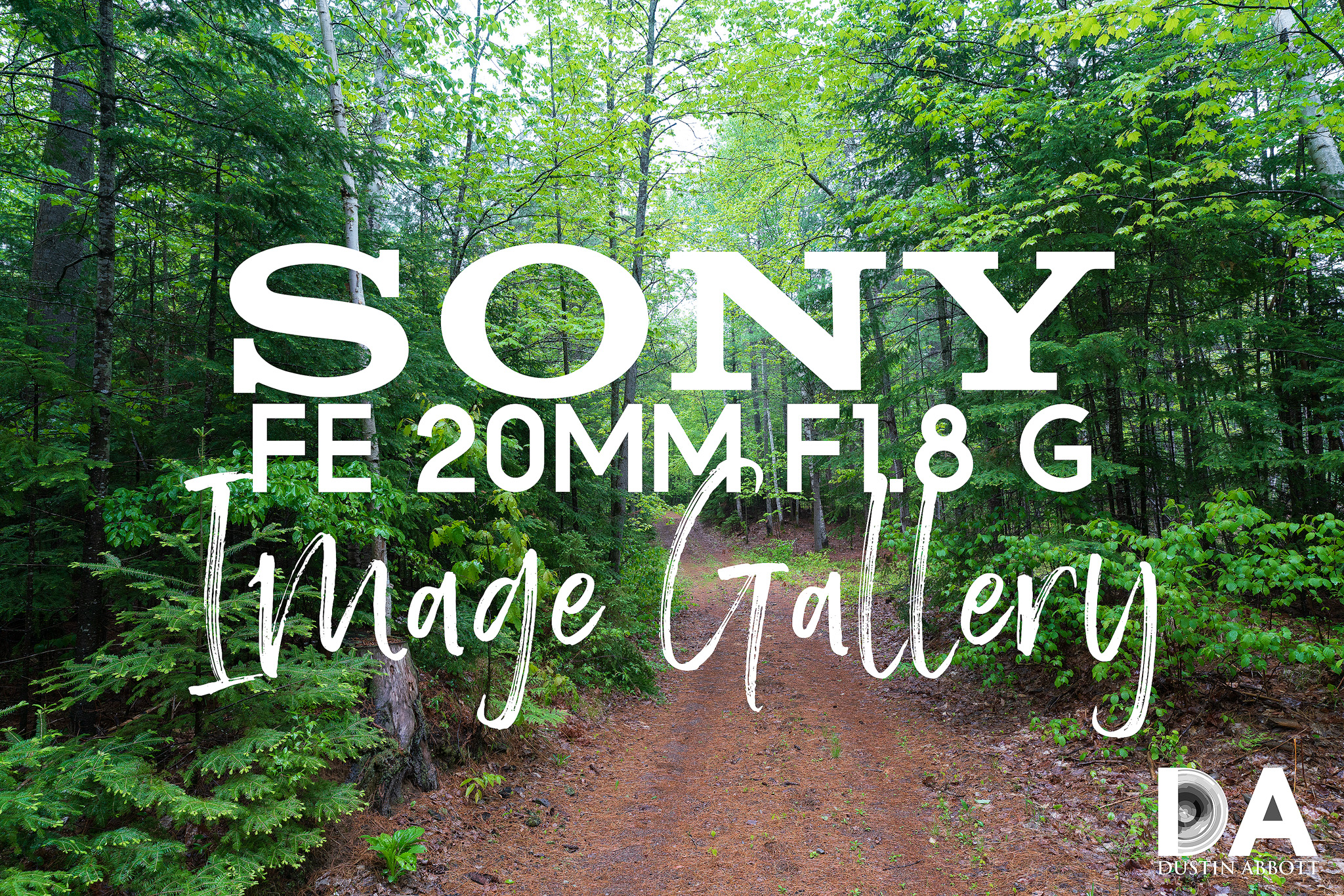 Sony FE 20mm F1.8 G Image Gallery - DustinAbbott.net