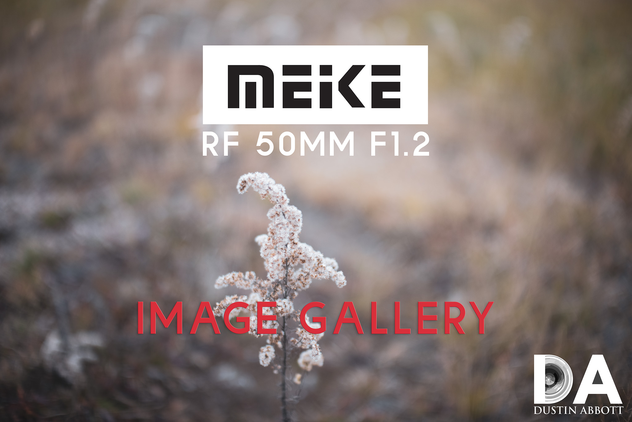 Meike 50mm F1.2L RF Review and Gallery - DustinAbbott.net