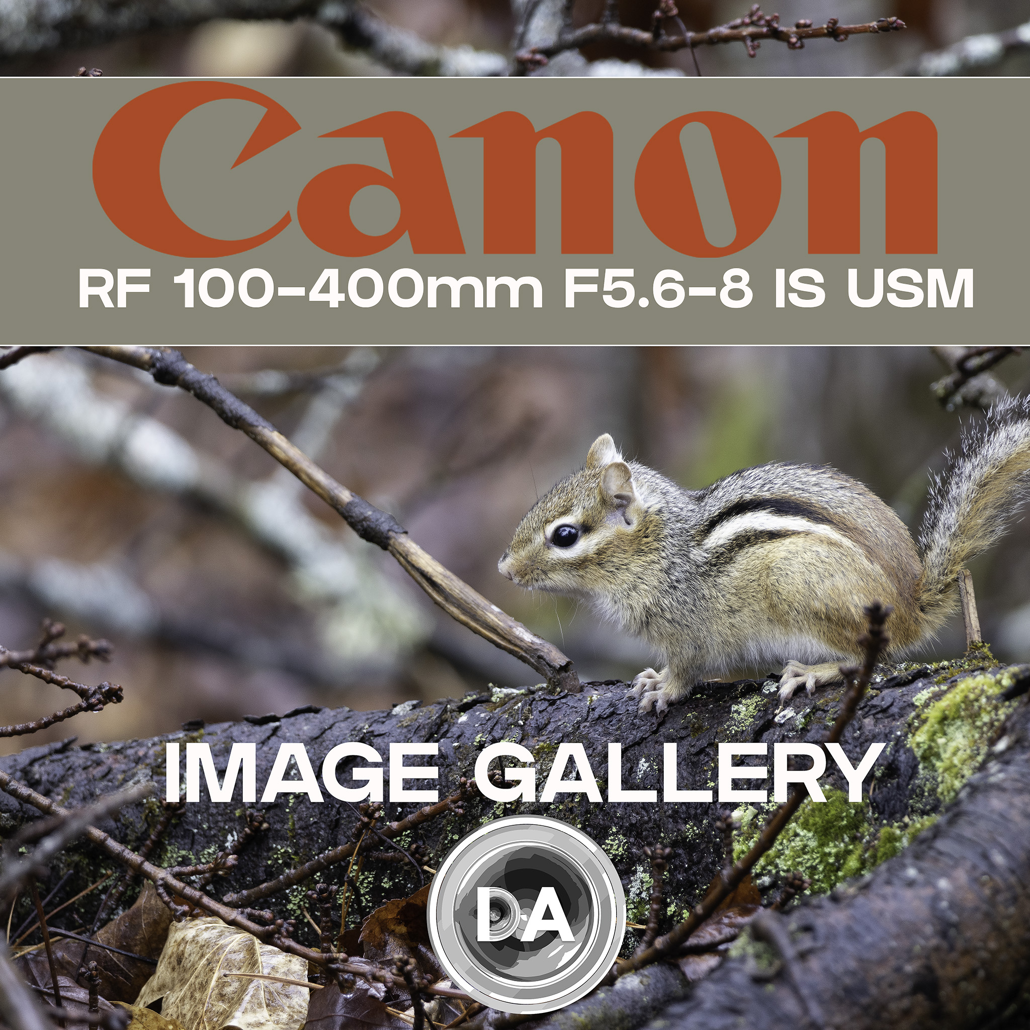 Canon RF Gallery Image F5.6-8 100-400mm IS USM