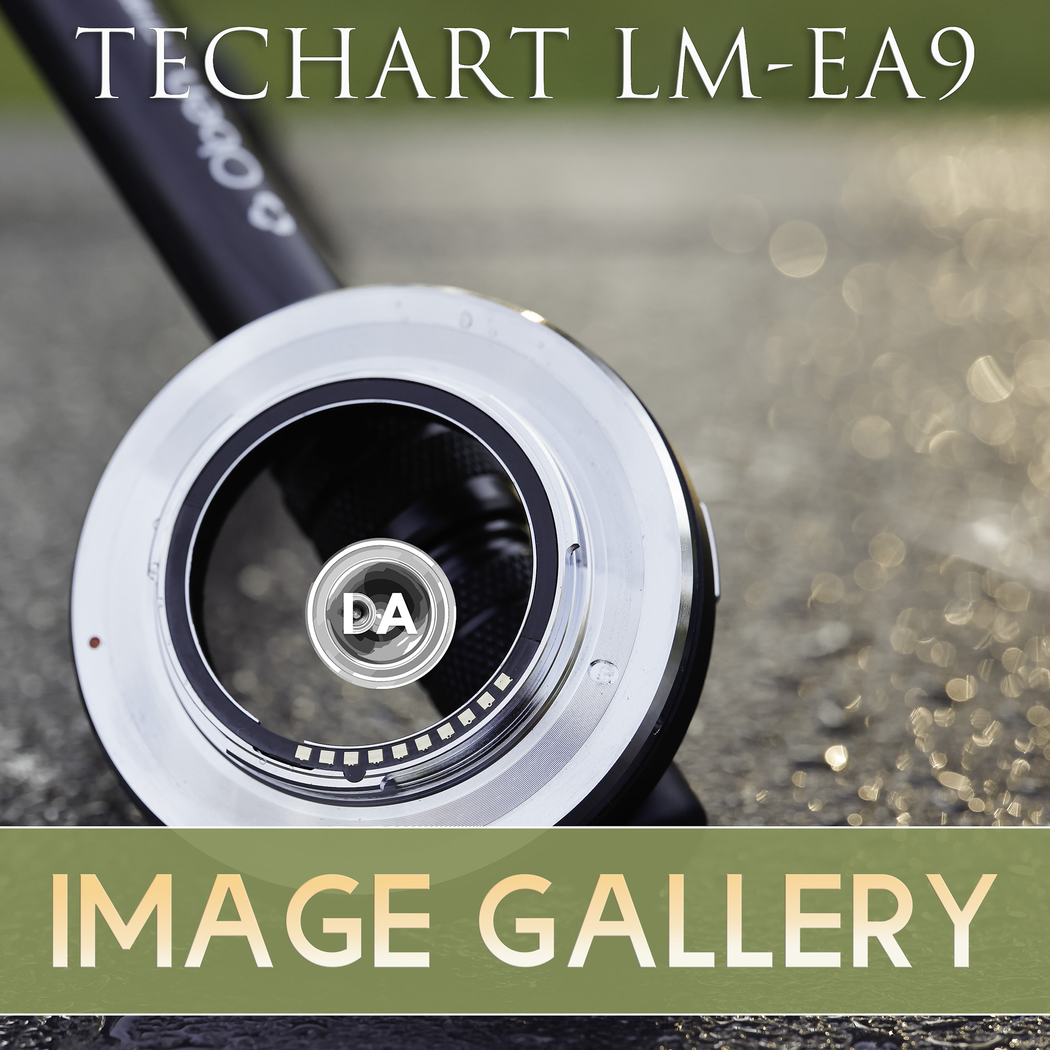 Techart LM-EA9 MF to AF Adapter Review and Gallery - DustinAbbott.net