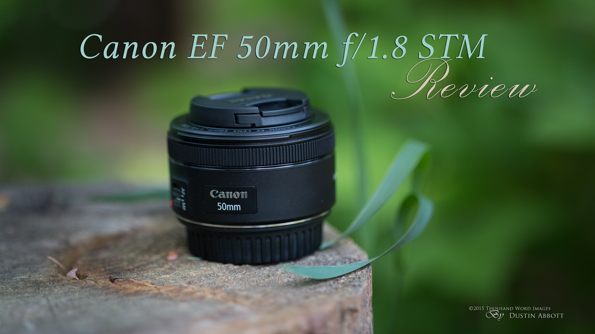 レンズプロテクター付き】Canon 50mm f1.8 STM - レンズ(単焦点)